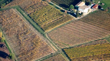 900_Bergerac_2.jpg